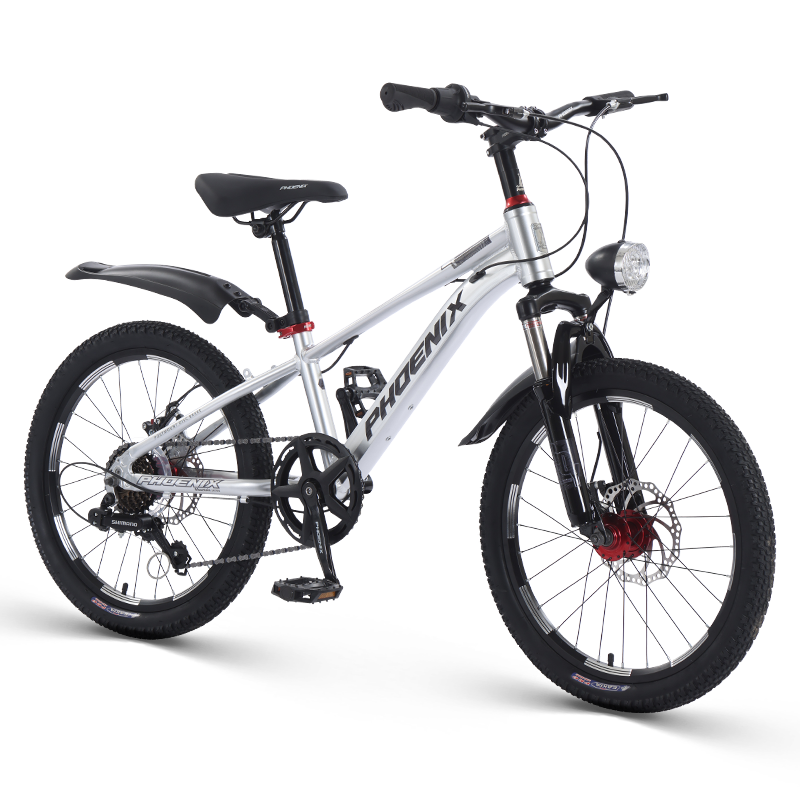 ��ˣ�Phoenix���������ͯ���г�7������ŵѧ��ɽ�س������ǿ� 20Ӣ����ɫ������ 669Ԫ