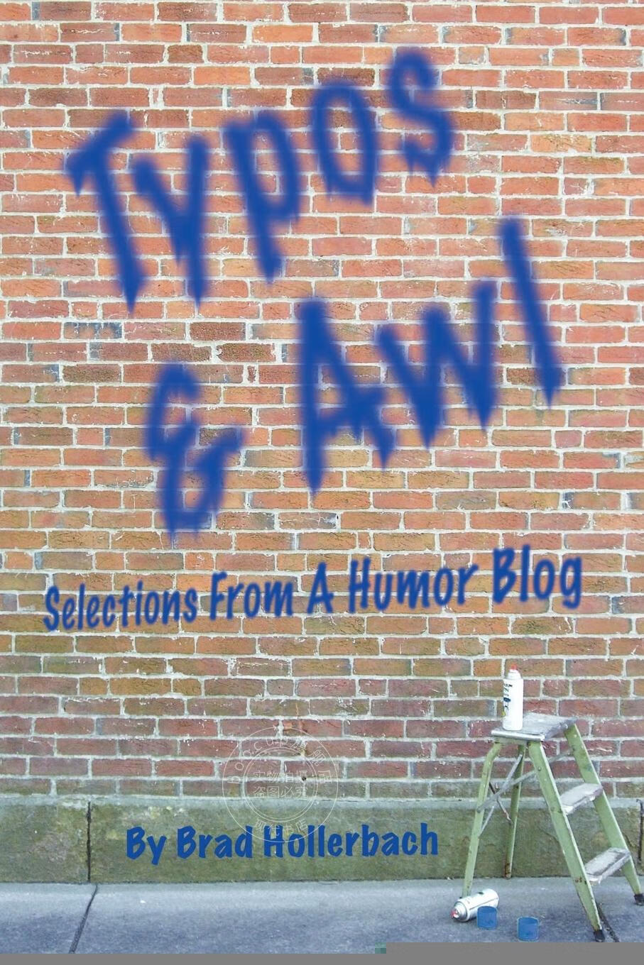 【2周达】【预售 按需印刷】typos & awl