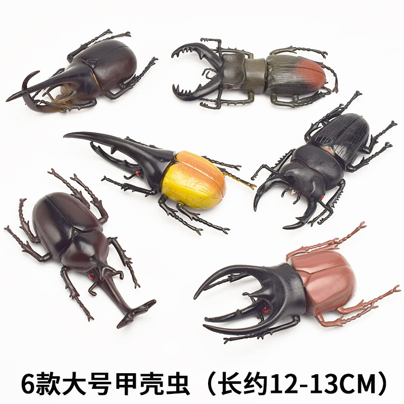 dutrieux大号昆虫玩具模型仿真甲虫天牛套装甲壳虫独角仙 大号甲虫6款