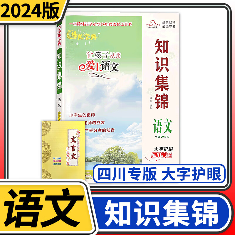 【四川专版】小学语文知识集锦 小升初语文人教版核心知识大集结培优宝典小学生四五六年级重点知识基础知识大全