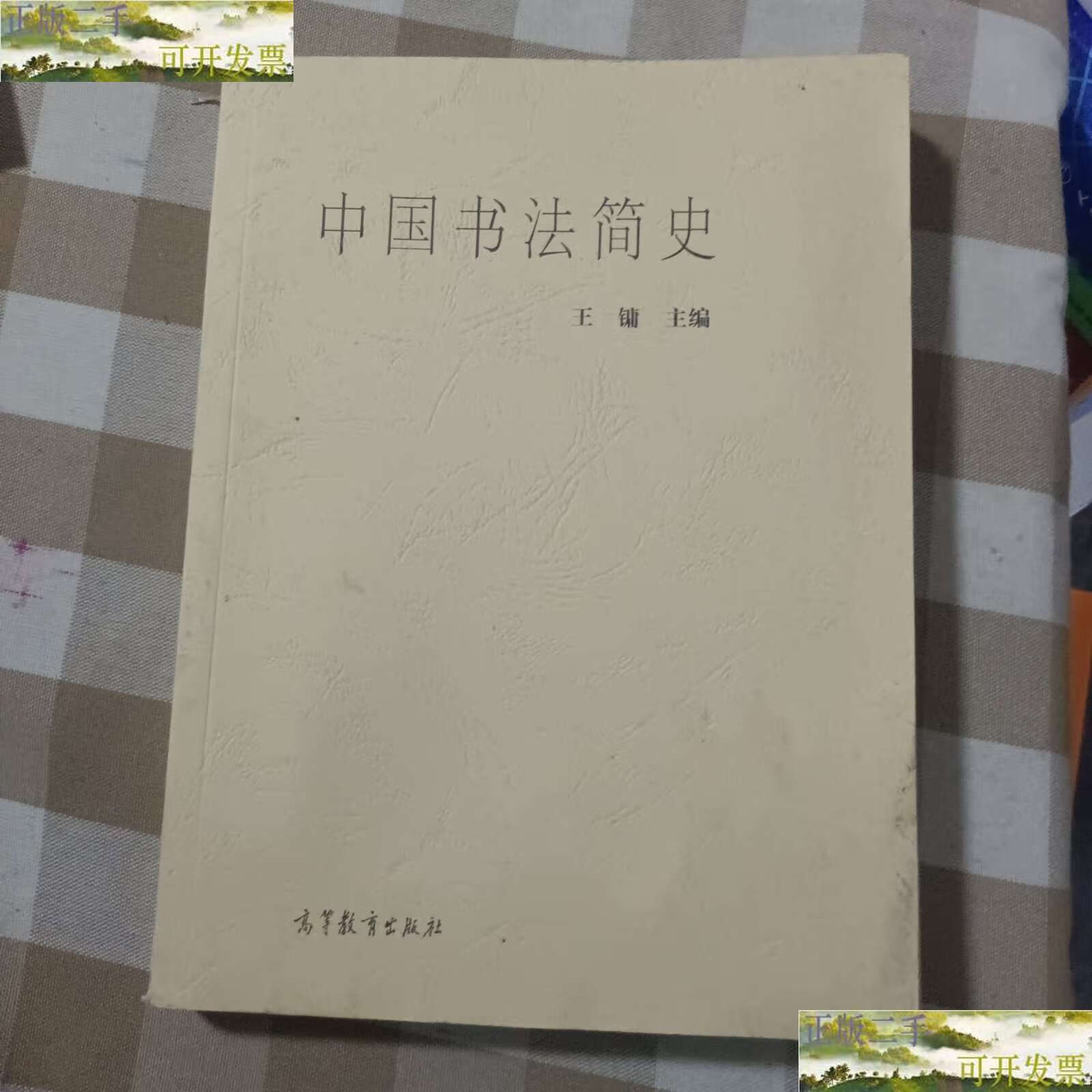 【二手9成新】中国书法简史 /王镛 高等教育