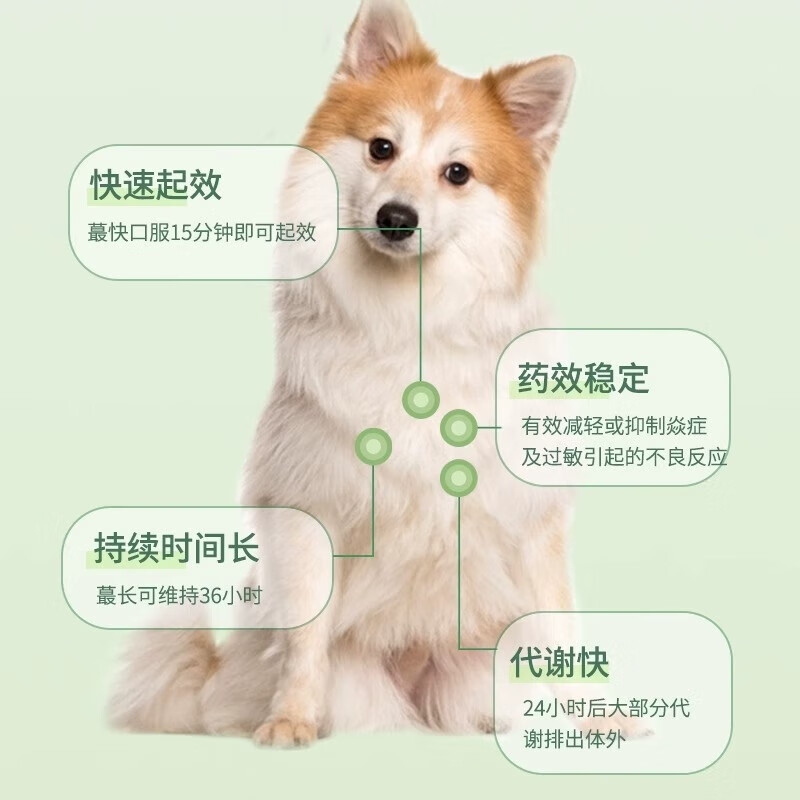 宝莱美露（BORAMMY）宠物泼尼狗猫咪抗炎抗过敏瘙痒皮肤病麦威舒玛福莱迈微舒 40粒 泼尼松片/2盒防伪可查 现货当日发