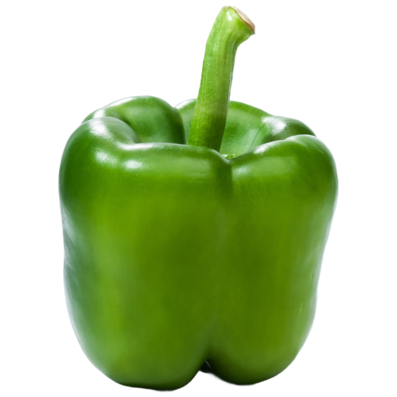 PLUS��Ա������ζ ɽ����Բ���̲˽��� �����߲� ����3�� Դͷֱ������