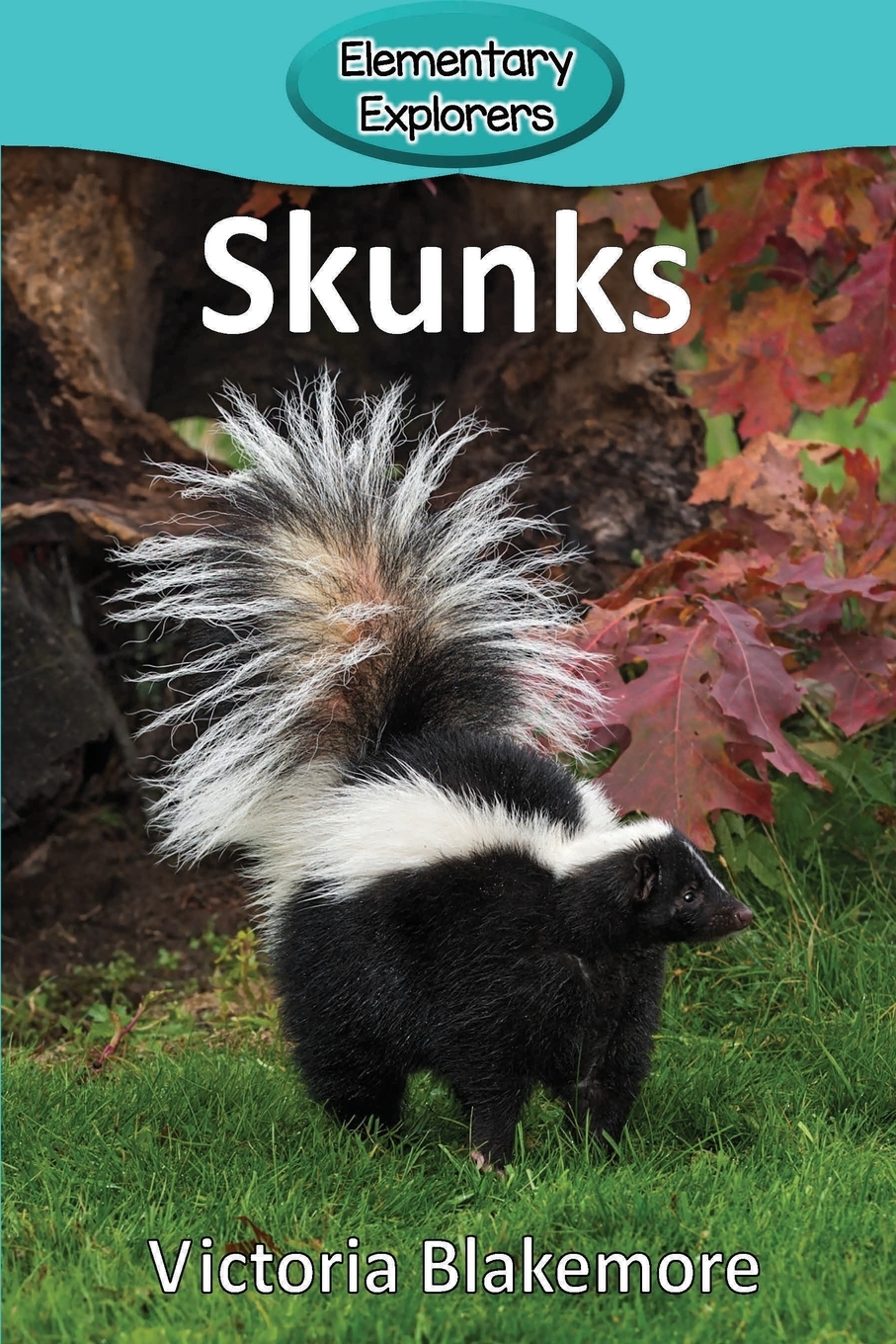 预售 按需印刷 skunks