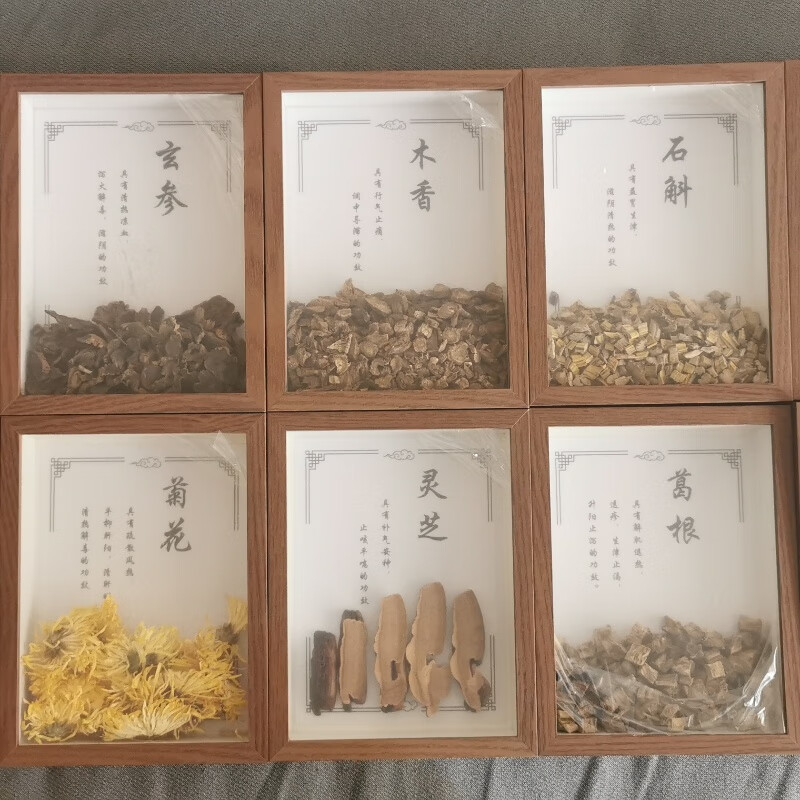 中药材标本画框摆件装饰药食同源挂画中药学习展示 方形样式一 15*20
