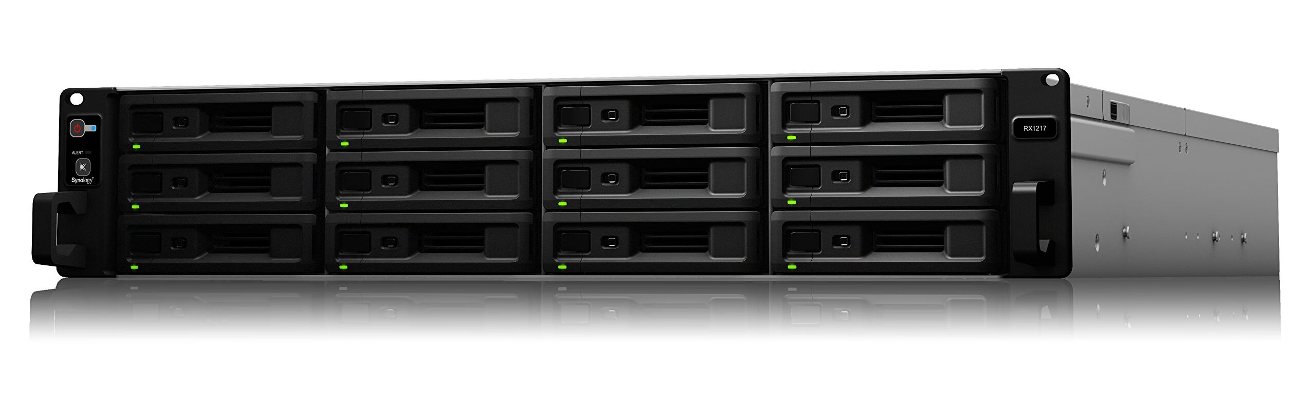 Synology 群晖 RX1217机架式扩展存储设备 适用于机架式存储系统 无硬盘 12位