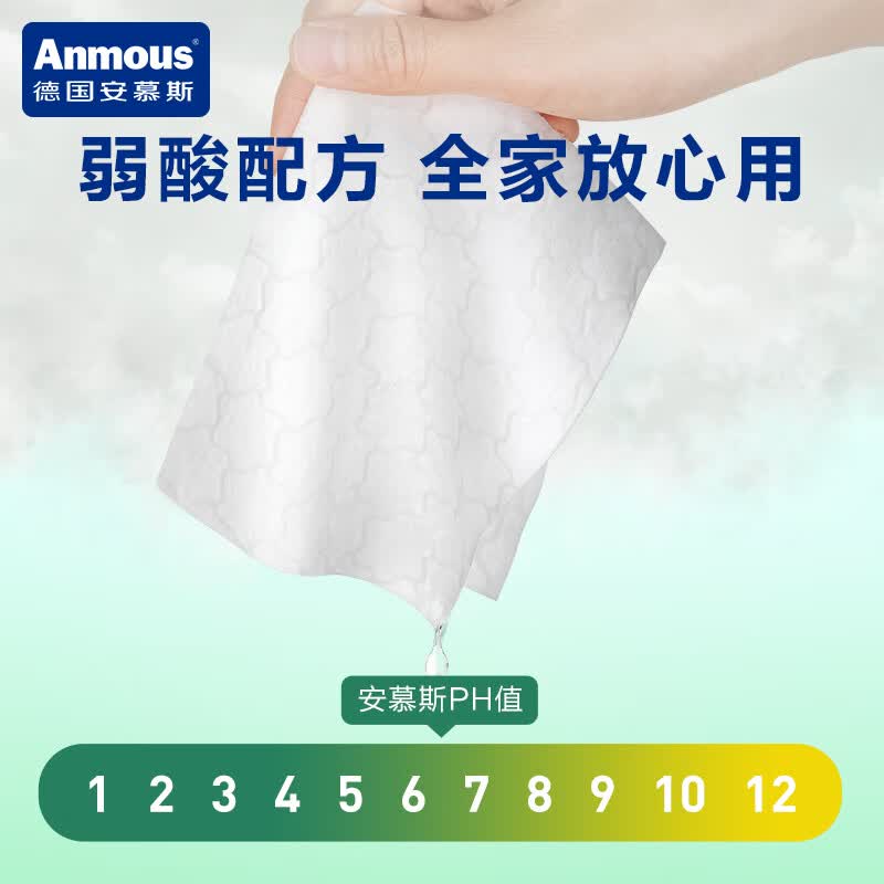 安慕斯益生菌湿厕纸 湿厕巾洁厕湿巾私处擦屁屁男女士通用家庭实惠装 【便携独立装】清氧森林湿厕纸 100抽 1包