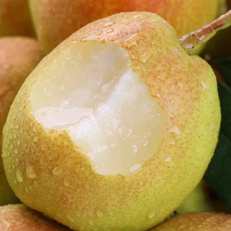 解忧娘娘正宗新疆库尔勒香梨酥脆甜梨子新鲜水果应季时令果蔬节日送礼整箱 特级 5斤单果120g+礼盒