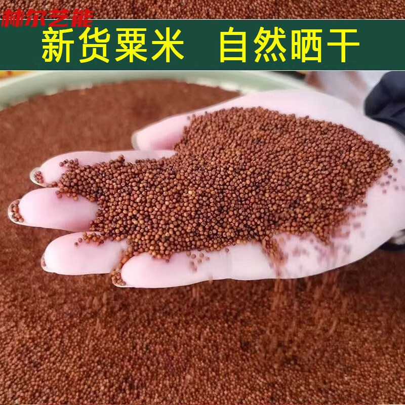 广西农家鸭爪粟新鲜红黄粟米鸭脚粟五谷杂粮一级小枕头料拳粟 新鲜