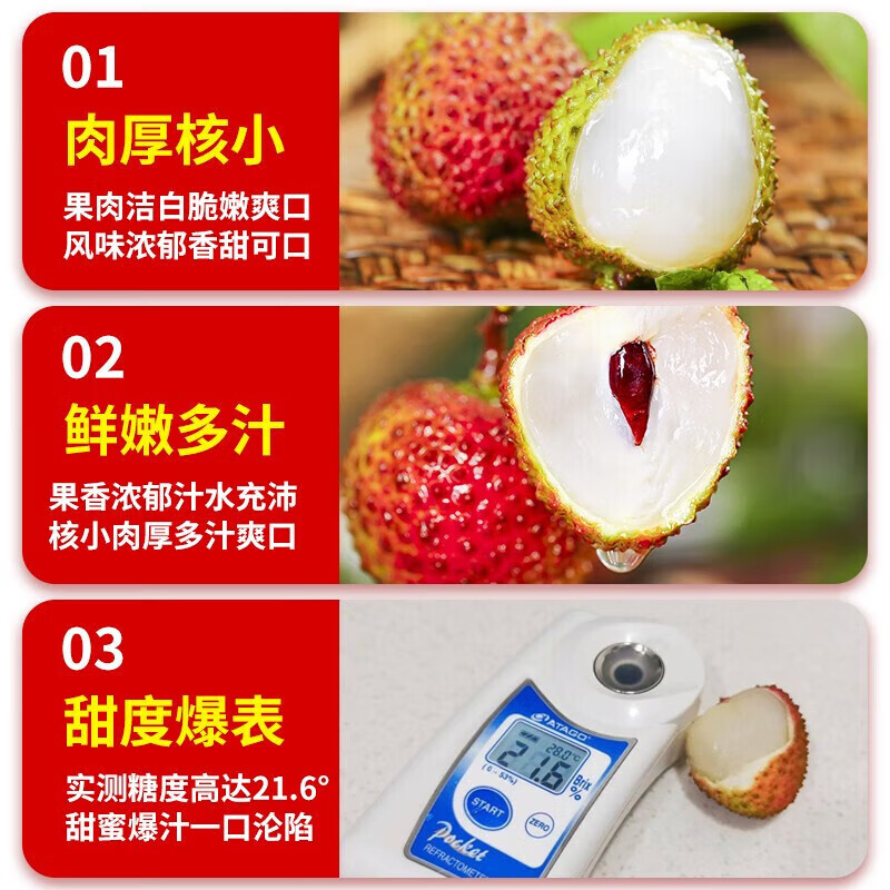 鲸咚亿农【顺丰冷链】海南妃子笑荔枝新鲜荔枝水果当季孕妇水果礼盒 3斤精选【顺丰冷链】净重2.8斤