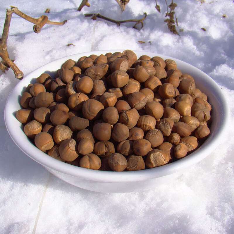 禾澹臻子野生榛子东北特产新鲜小棒子坚果孕妇专用大兴安岭山榛子炒熟