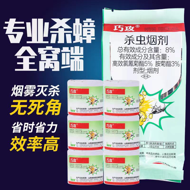 巧攻杀蟑烟剂家用室内厨房杀虫烟雾剂烟熏除蟑螂药灭小强苍蝇蚊子 10枚