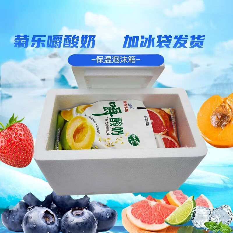 食怀菊乐嚼酸奶多口味酸奶170g*6/16袋水果燕麦牛奶加冰袋发货 9月产