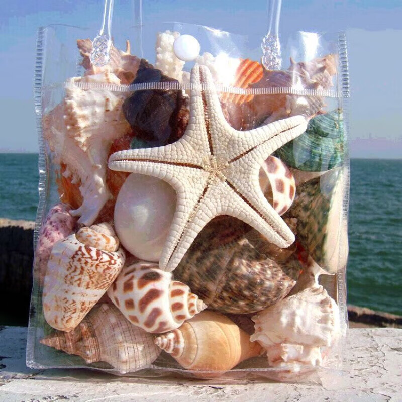 恒愎天然贝壳海螺海星珊瑚枝套海洋生物标本螺缸水族摆件用品 天然海螺贝壳海星套餐(天然海星