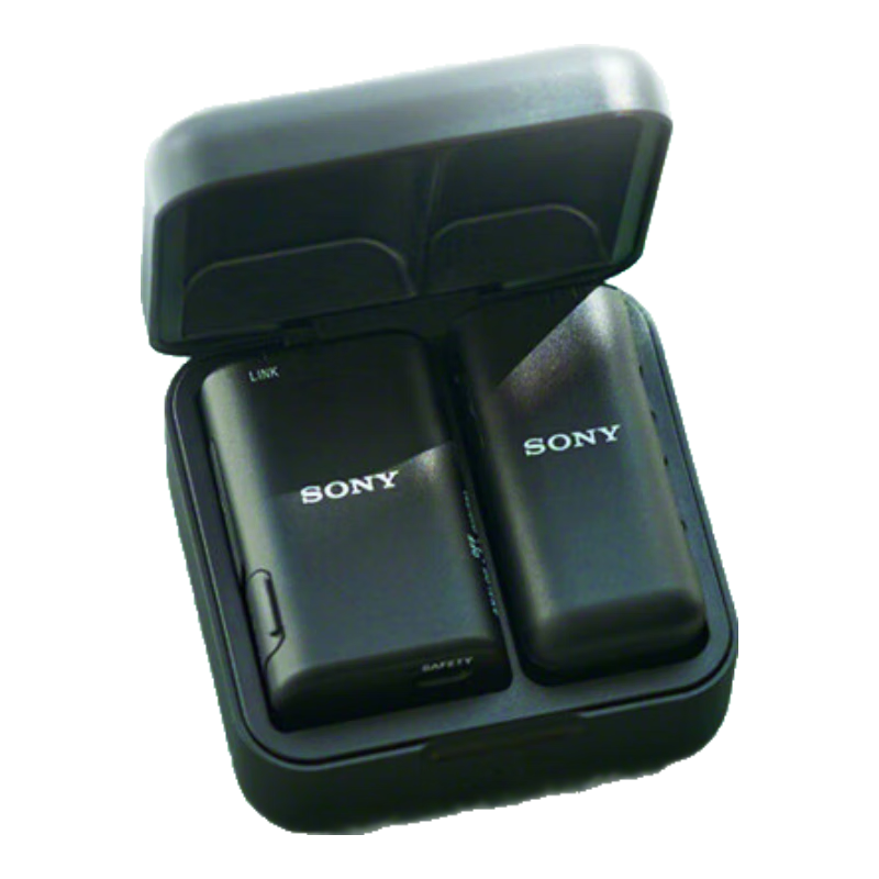 ���ᣨSONY��ECM-W3S �����˷� һ��һ ������Ƶ/��ѥ����/���� С�۷� �ɷ� ֱ�� Vlog1269Ԫ