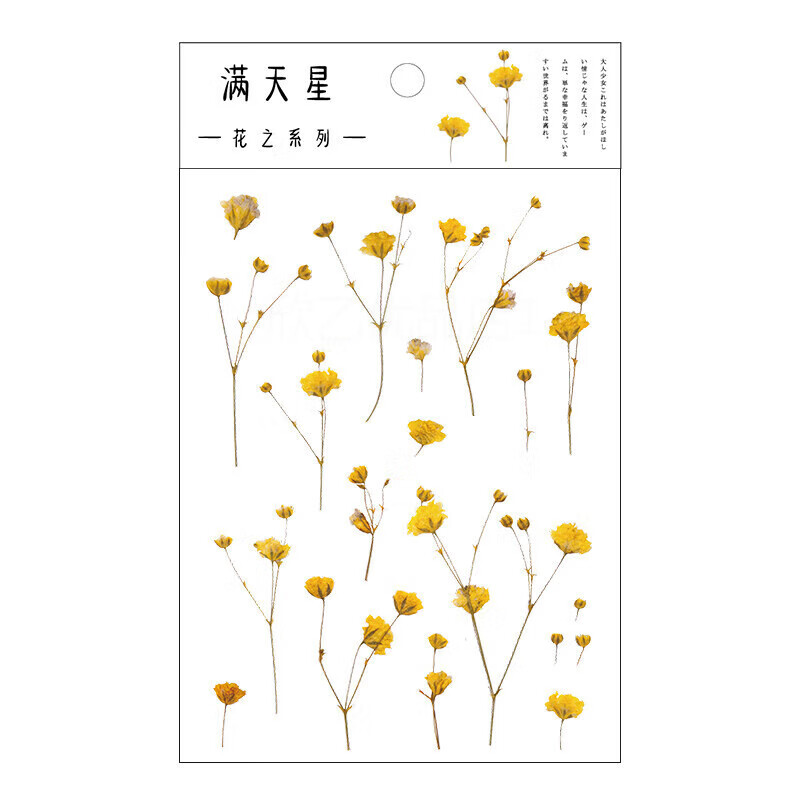diy植物系元素文艺小清新可爱少女心ins风自粘贴画素材材料 满天星