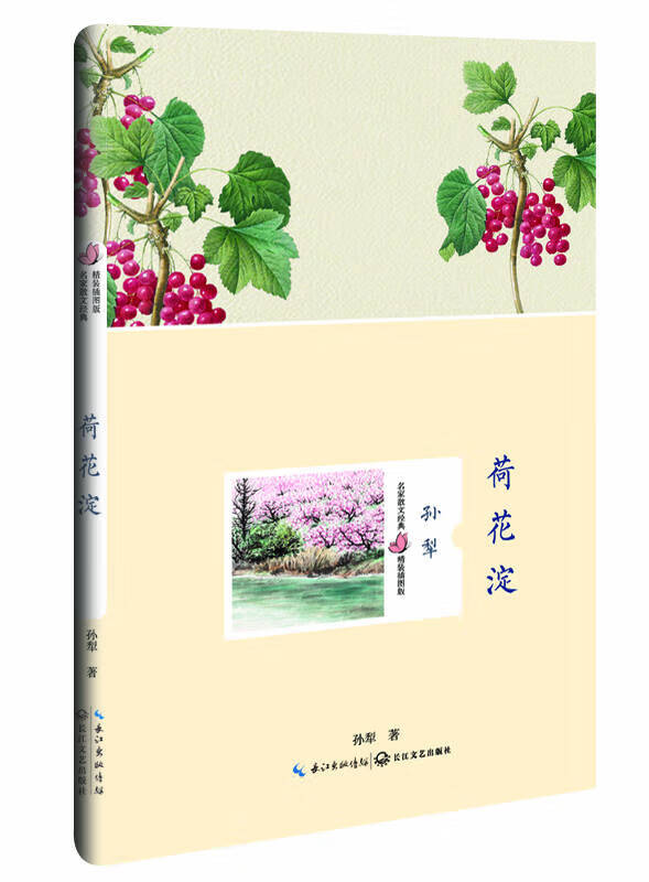 荷花淀(孙犁 名家散文经典 插图版)