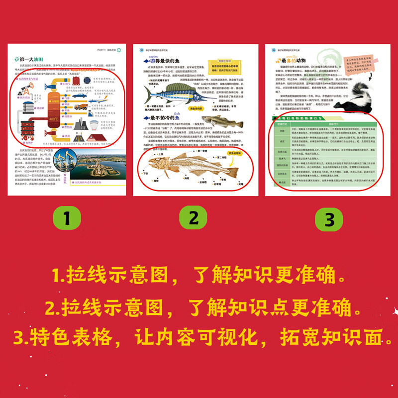 世界之最 中国之最 图说天下奇趣科普礼盒全6册