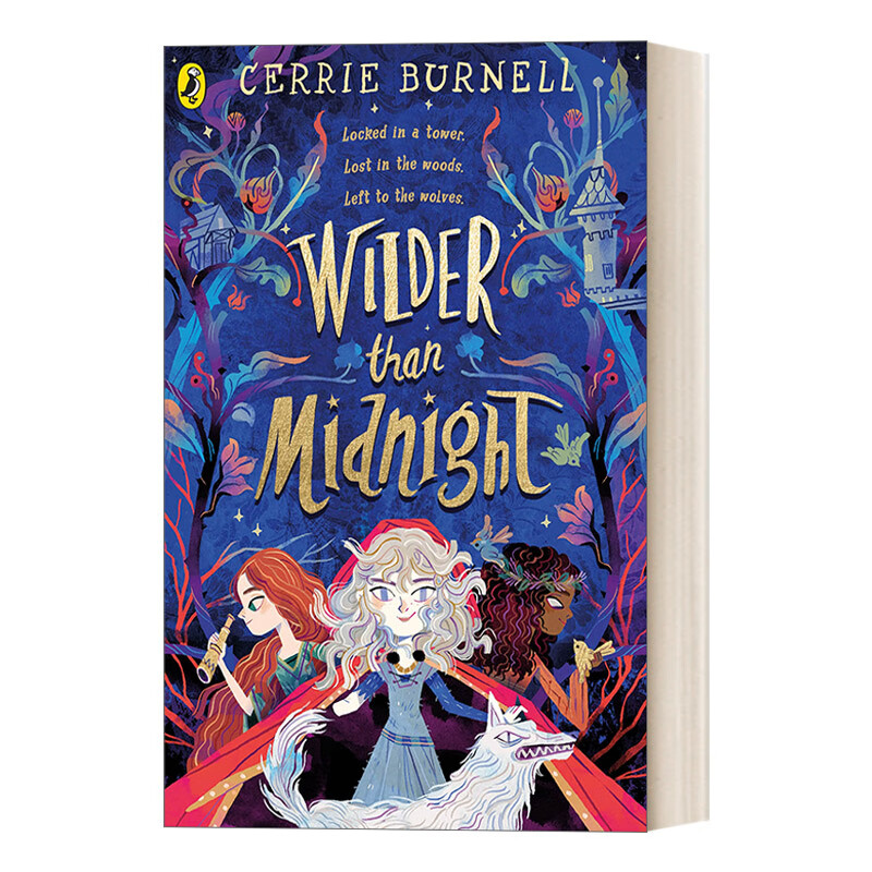 进口原版 wilder than midnight 午夜更疯狂 青少年冒险故事 英文版