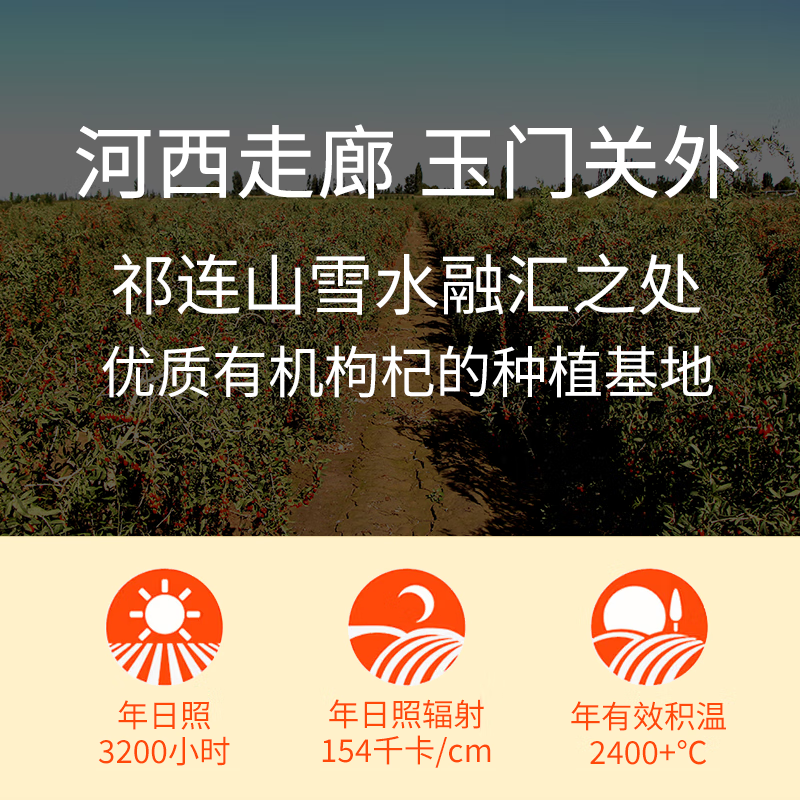 陇宇枸杞原浆玉门关外祁连山鲜榨NFC非浓缩还原枸杞原液滋补品整盒 【清仓处理】 240ml*20盒