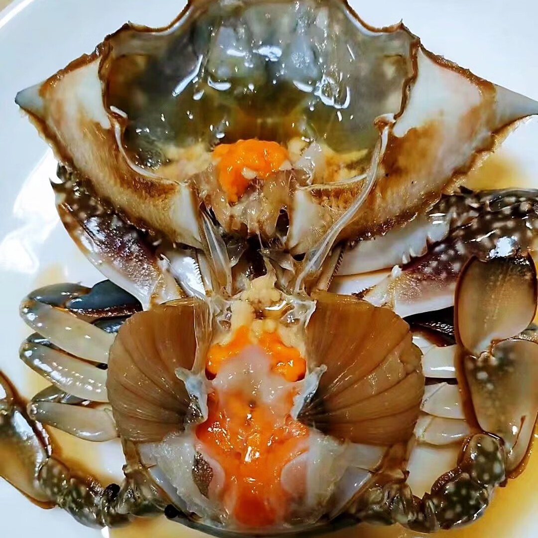 郑记莱州湾生腌咸满黄母蟹梭子蟹单只装 每只5两左右(1只)