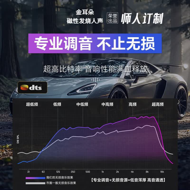 金耳朵蔚来车载无损音乐u盘ES8/ES6/EC6/ET7带歌曲视频Type-C接口上声音 32G【原车音响用】高品质+视频 标准USB接口【理想专用芯片】