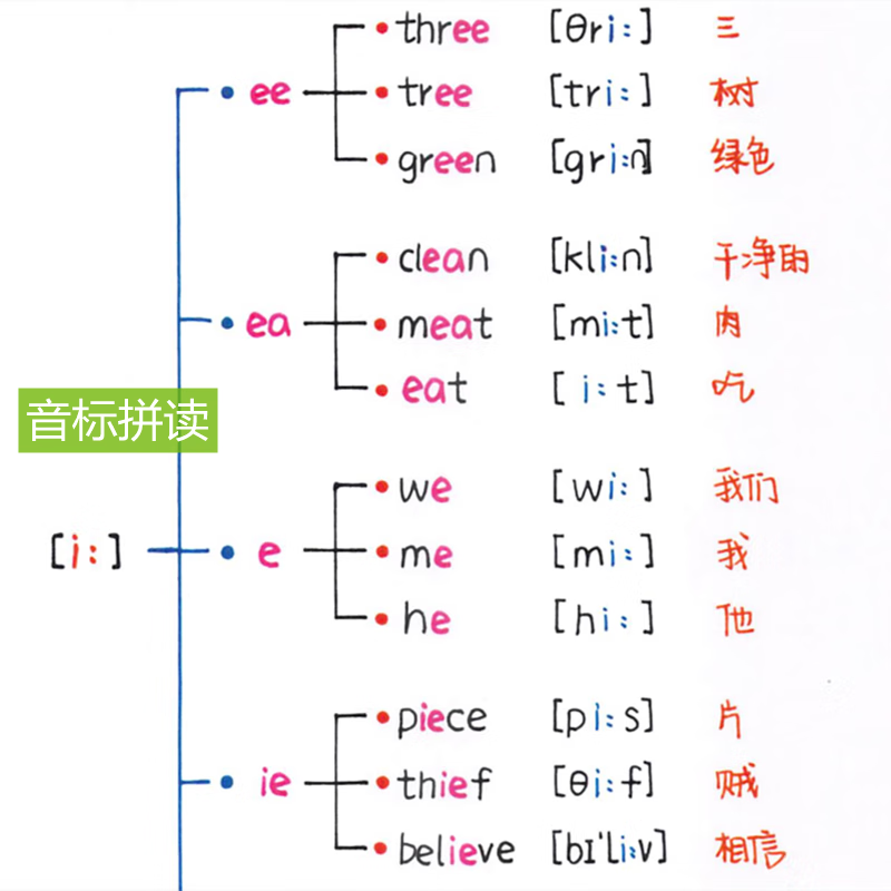 音标记单词小学初中英语思维导图分类词汇速记语法树短语搭配笔记