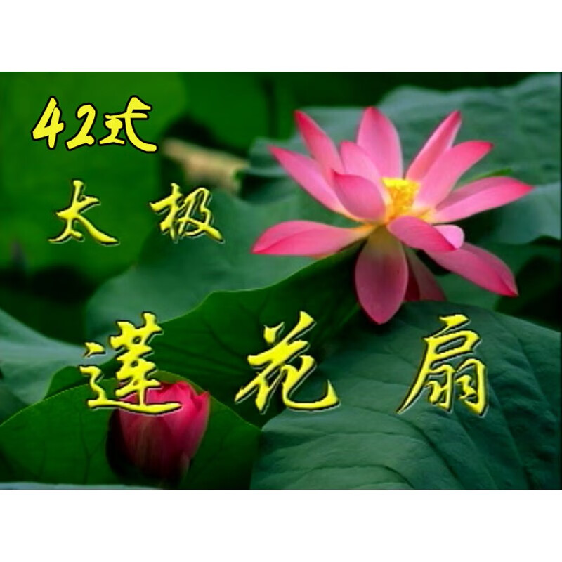 洪钜江 丁秀玲42式太极莲花扇四十二式莲花太极扇视频教程u盘dvd dvd
