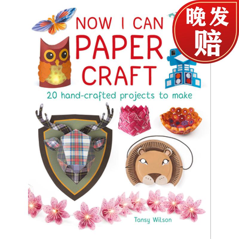 【4周达】now i can paper craft: 20 hand-crafted projects to make