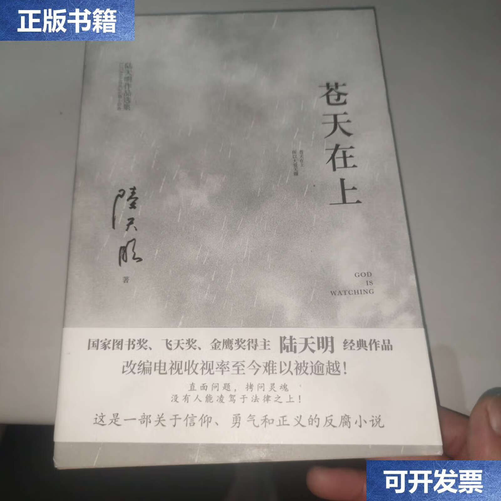 【二手9成新】苍天在上(国家图书奖,飞天奖,金鹰奖得主陆天明经典作品