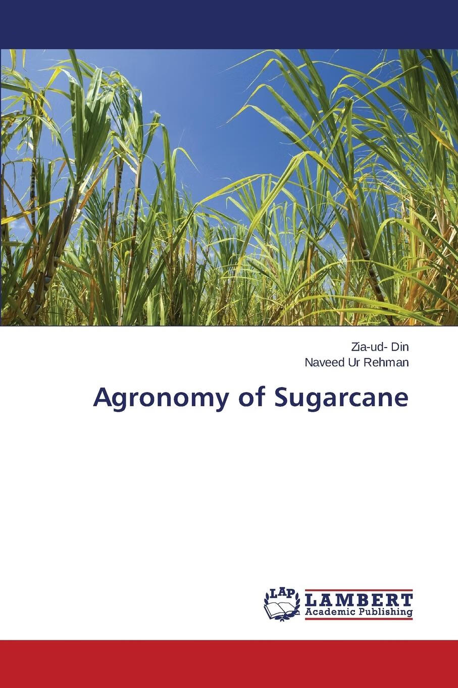 【2周达】【预售 按需印刷】agronomy of sugarcane