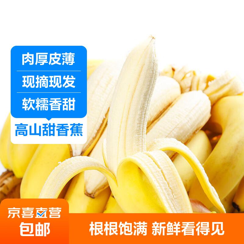【不打药需催熟】国产高山甜糯香蕉 当季新鲜水果芭蕉整箱青皮果 带箱4.5kg【普通装】