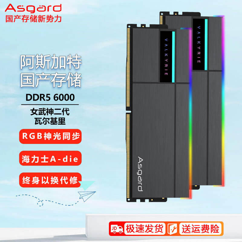 阿斯加特（Asgard）台式机内存条海力士颗粒DDR5女武神二代瓦尔基里RGB马甲灯条 DDR5 6000黑A-die C28 32GB 2条套条 （16G*2）