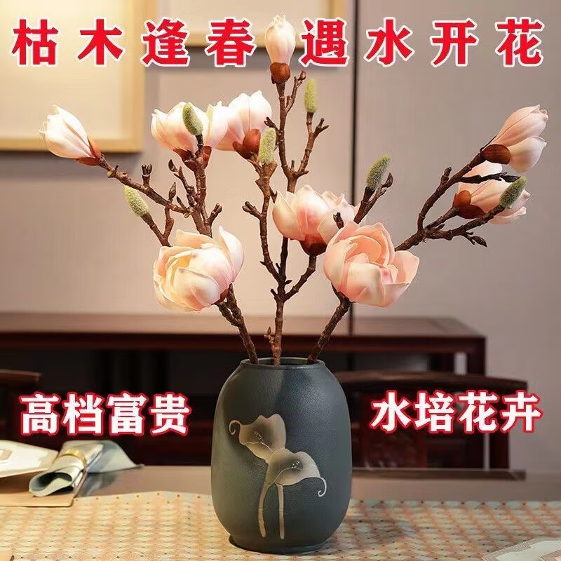 京东精选卖场 2024-01-12 - 第11张 | 最新购物优惠券 京东精选卖场 2024-01-12 - 第11张 | 最新购物优惠券