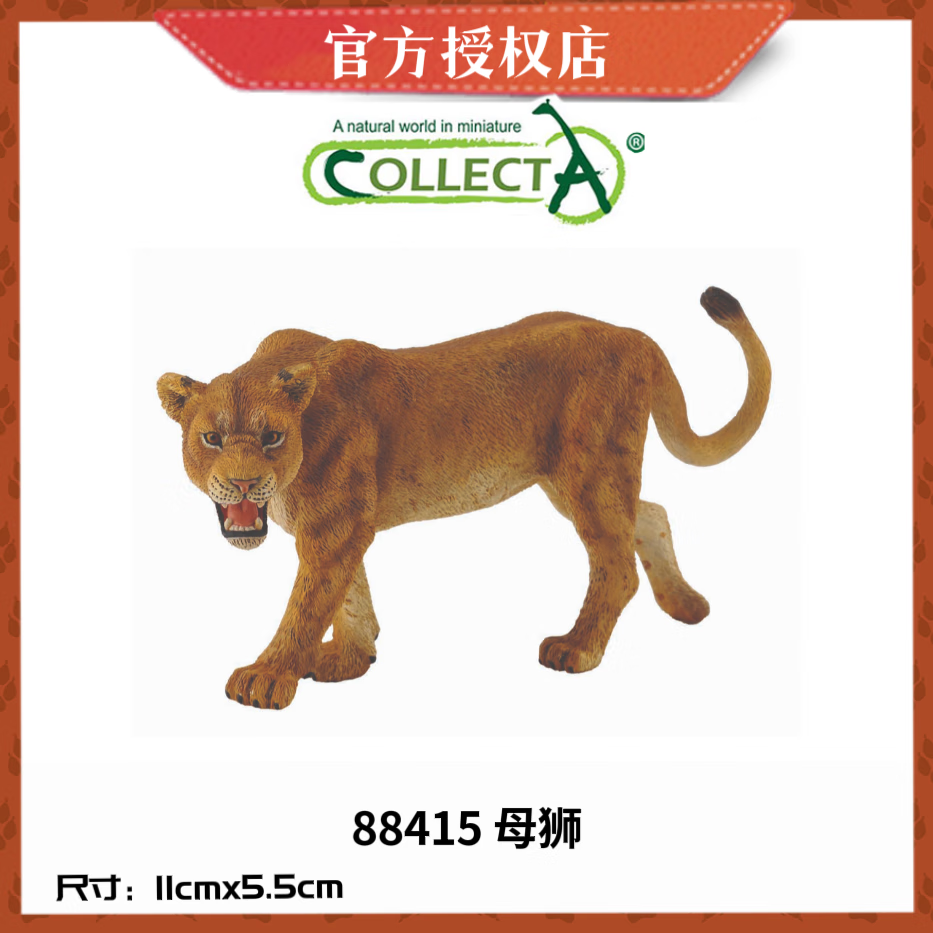 collecta【wild life肉食动物】仿真模型玩具 早教认知 狮子老虎 野生