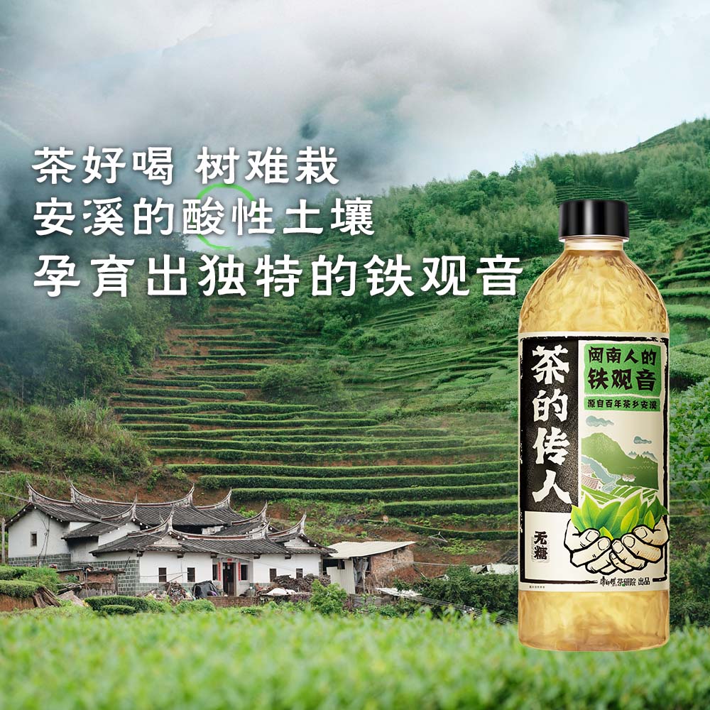 康师傅茶的传人 青柑普洱 铁观音 无糖茶饮料 闽南人的铁观音 500ml*15瓶