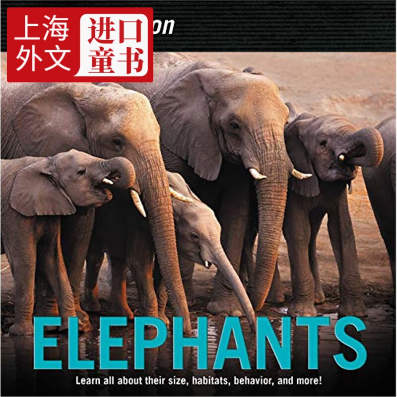 elephants (november 2018)