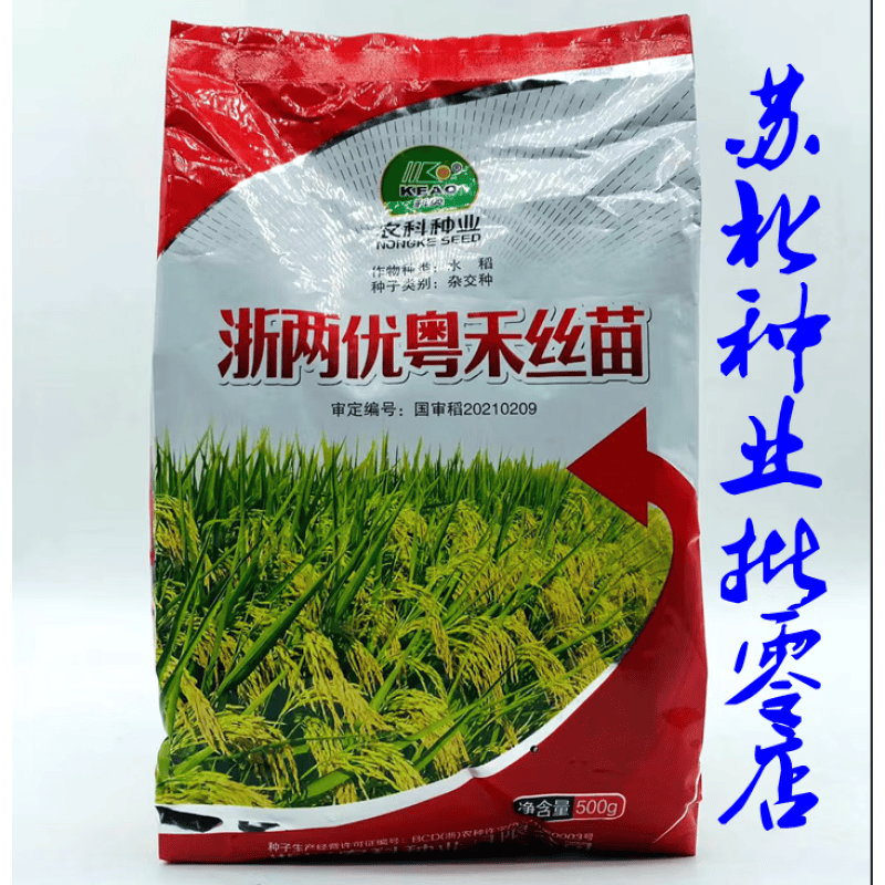 禾之润浙两优粤禾丝苗水稻种子抗性白叶枯病褐飞虱中感稻瘟病水稻夏季