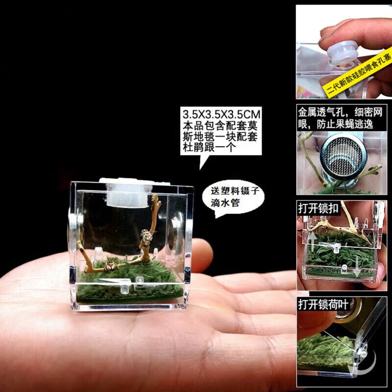 勋狸粑跳蛛饲养盒鸣虫箱大黄蜂活体佛罗里达蝈蝈笼蛐蛐跳蛛昆虫罐带加