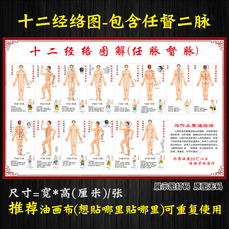 人体十二经络挂图中医十四正经穴位图挂画养生馆经脉走向图经络图