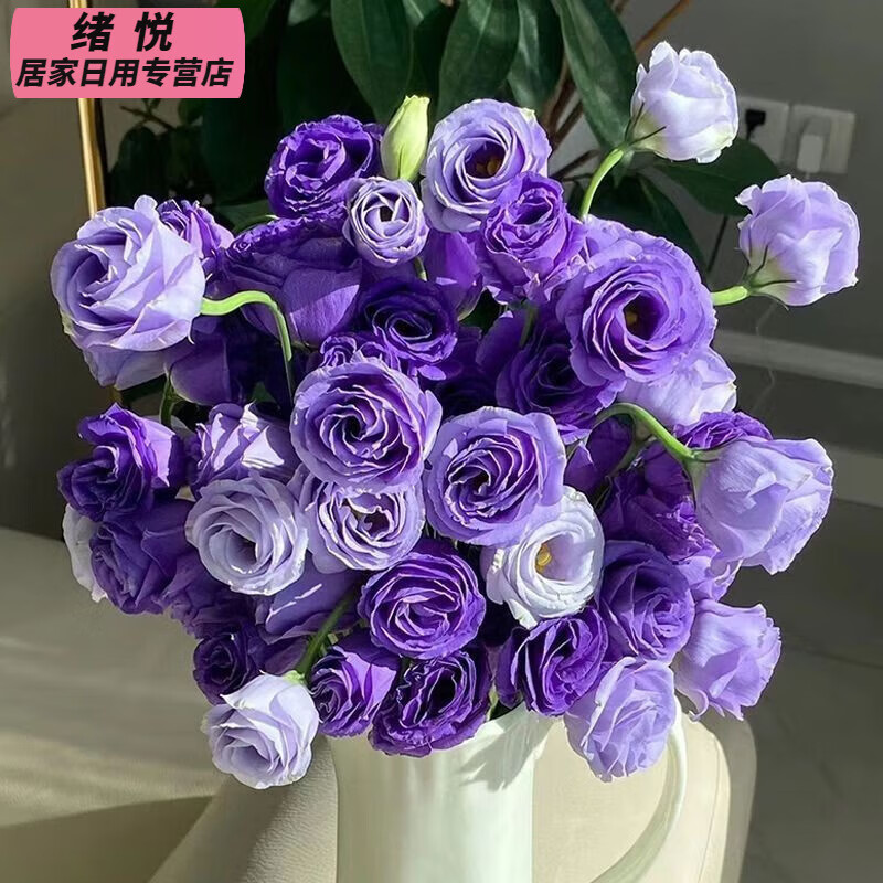 全色系稀有洋桔梗无刺玫瑰鲜花花束云南直发插花洋玫瑰花束混搭 紫色洋桔梗(15-20朵花) 收藏商品送保鲜剂(花坏按比例赔