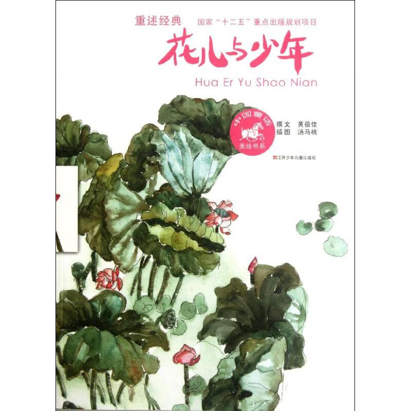 正版图书花儿与少年