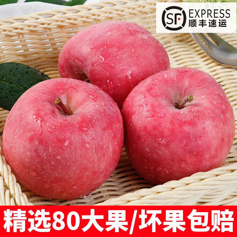 柏果瑞甘肃静宁苹果 苹果水果 新鲜红富士苹果 甘肃苹果带箱10斤大果