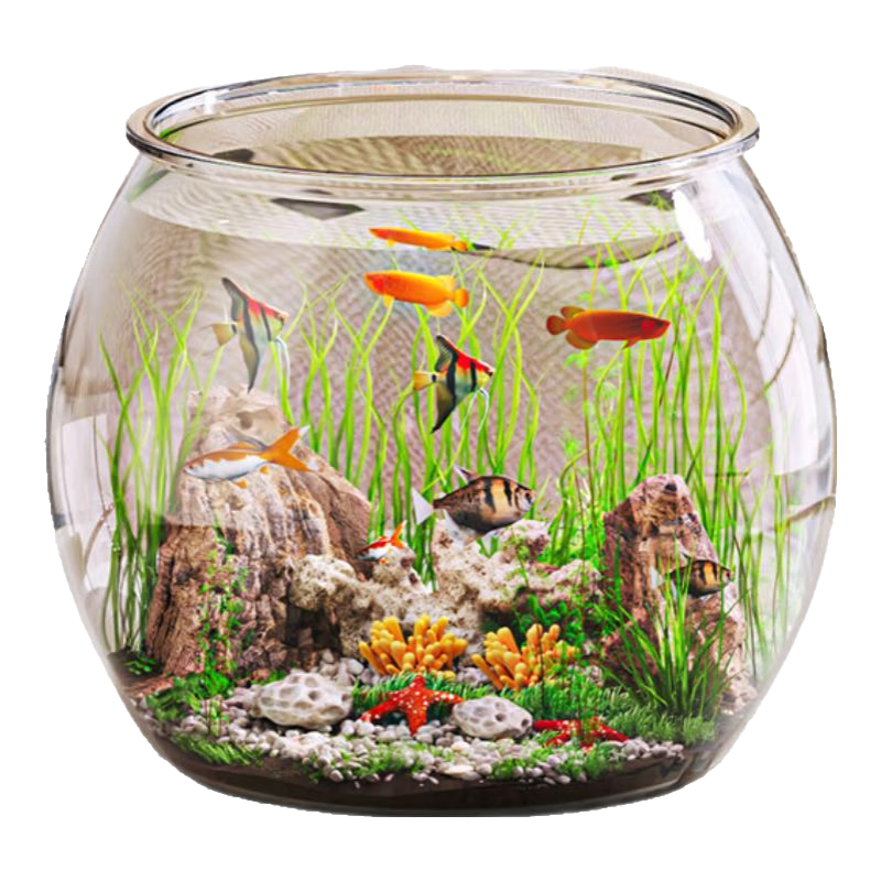 ��ͥС��Բ����׿���2024�¿�������̬�����ϼ��ý�����ڹ������� 16Բ�����