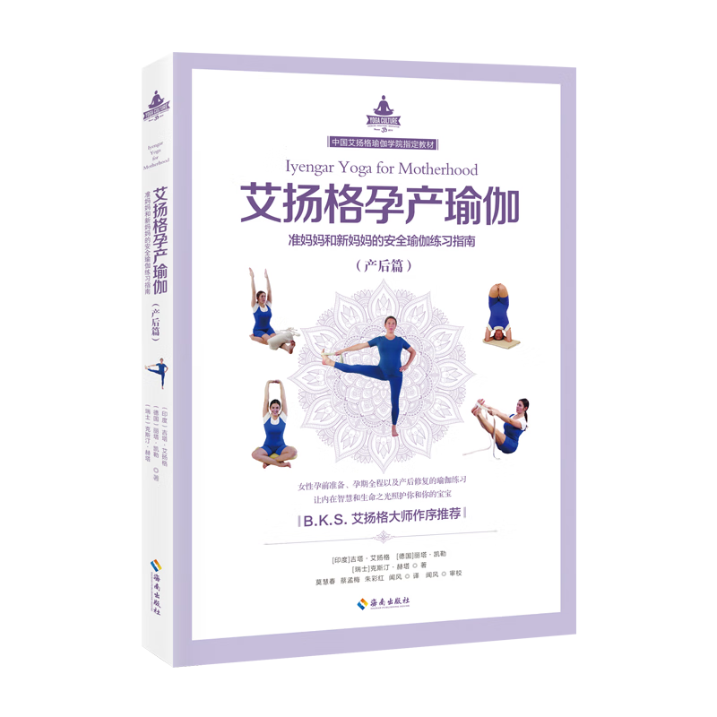 艾扬格孕产瑜伽 产后篇 准妈妈新妈妈孕前准备孕期产后修复好身材任选
