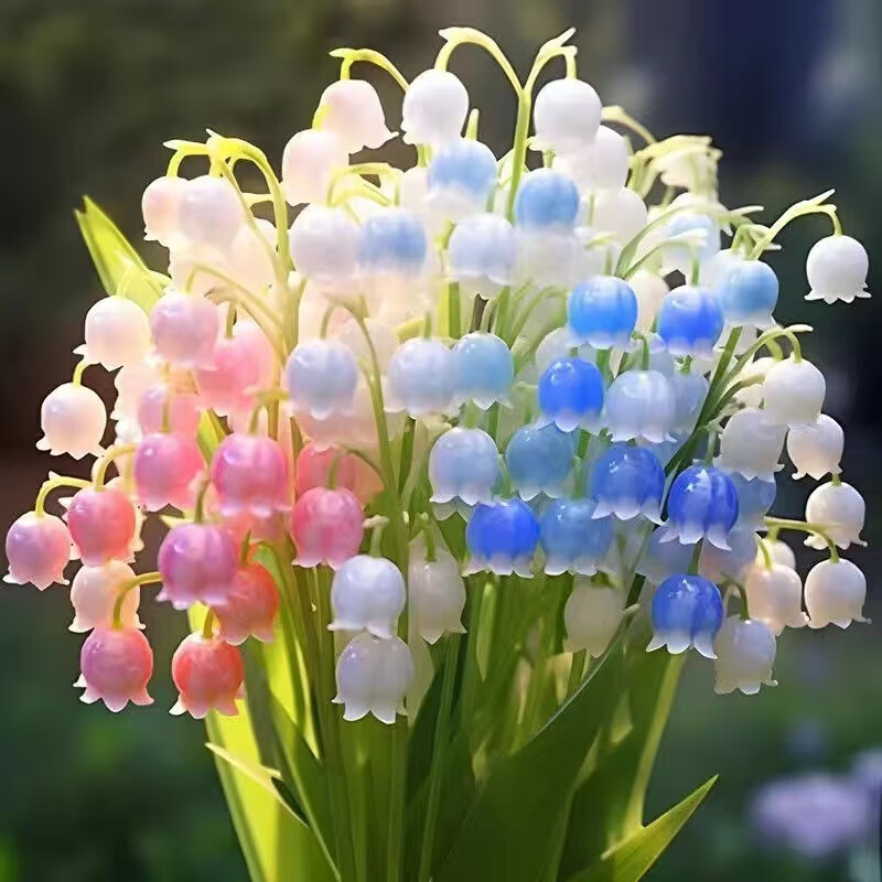 琼花玉叶【拍1发10颗】耐寒铃兰花苗四季开花阳台花卉盆栽绿植物好养