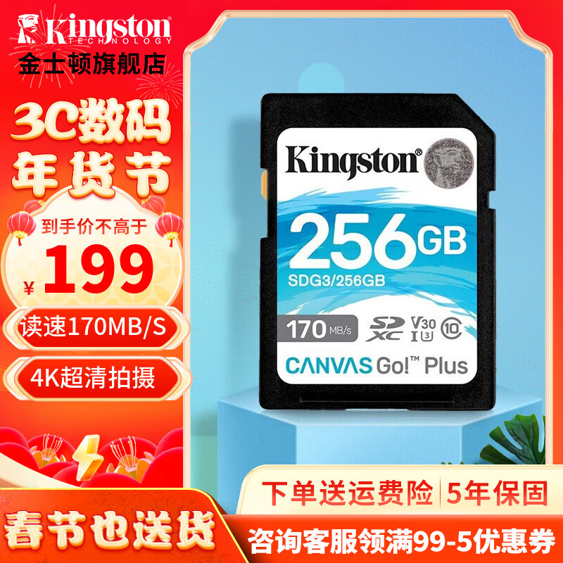 金士顿（Kingston）SD存储大卡 高速相机内存卡单反微单sd卡 class10 U3 V30 SDG3/256G【读速170M/S 丨4K超清】