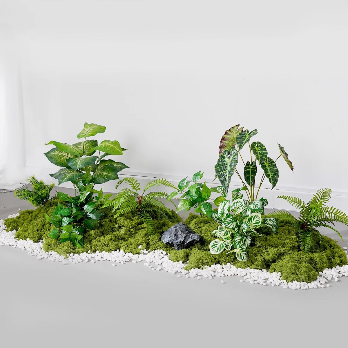 苔藓微景观：自然的迷你世界