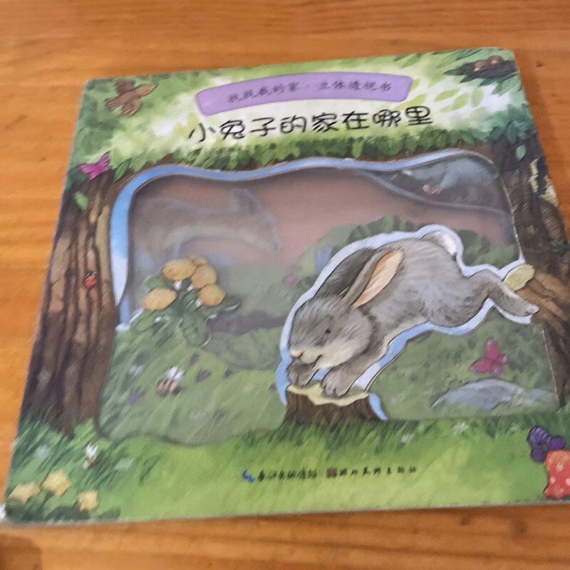 【绝版旧书】找找我的家·立体透视书:小兔子的家在哪里 湖北美术出版