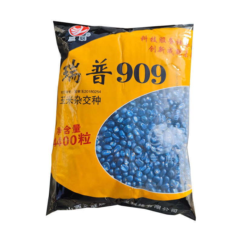 耐高温不花粒春播夏播杂交玉米种子苞谷种子抗旱 瑞普909(原装4400粒)